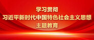 大肉棒干屄视频学习贯彻习近平新时代中国特色社会主义思想主题教育_fororder_ad-371X160(2)